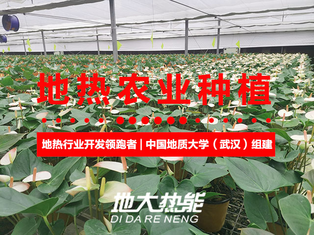 濟(jì)南：“地?zé)崮?農(nóng)業(yè)”產(chǎn)業(yè)融合，讓地?zé)崮苷嬲盁帷逼饋?地大熱能