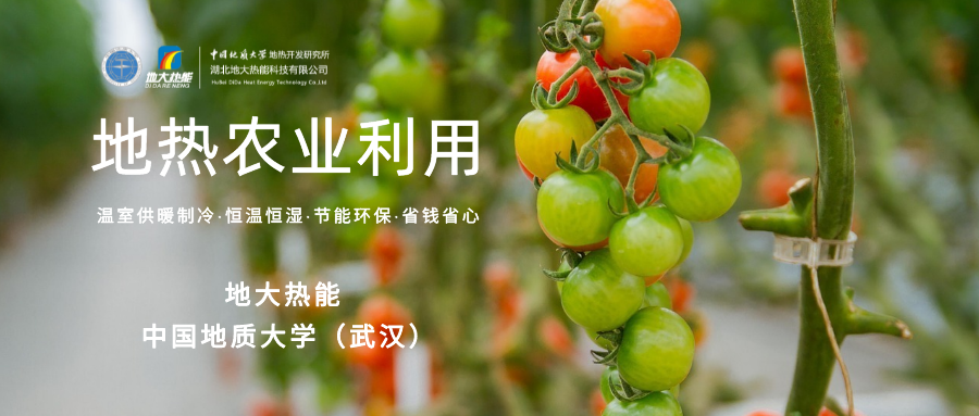 利用地?zé)峤鉀Q糧食生產(chǎn)問題并促進發(fā)展-地?zé)豳Y源開發(fā)利用-地大熱能