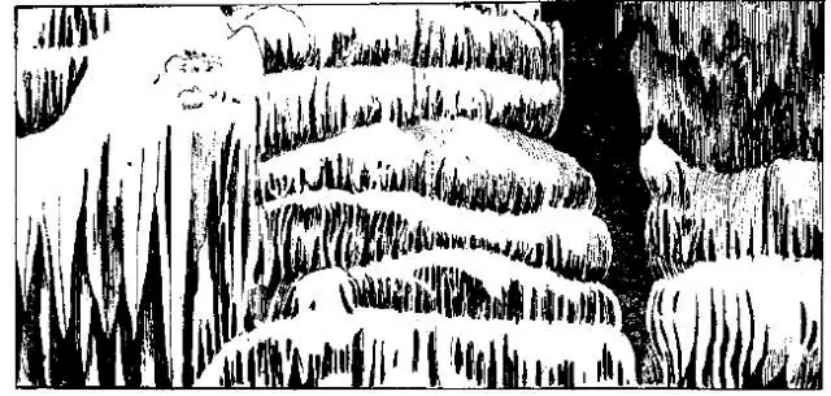 盤點(diǎn)各類地質(zhì)地貌類型-地?zé)豳Y源開(kāi)發(fā)-地大熱能